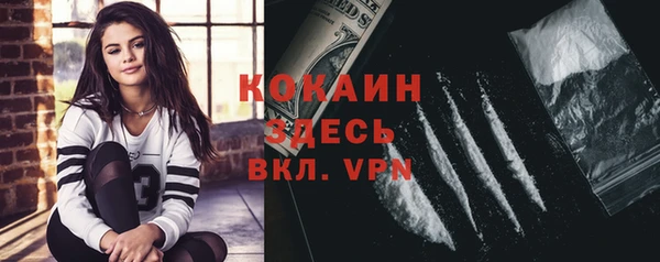 спиды Новодвинск