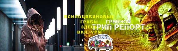 шишки Няндома
