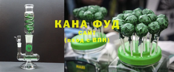 шишки Няндома