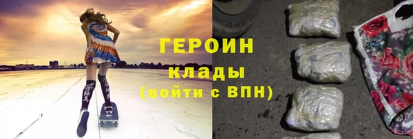 шишки Няндома