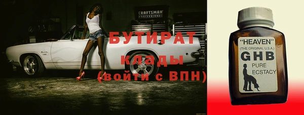 шишки Няндома