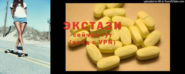 шишки Няндома