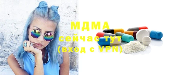 шишки Няндома