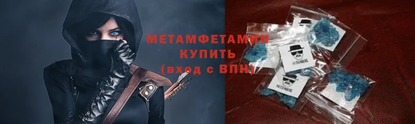 шишки Няндома