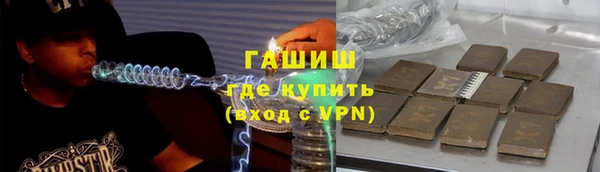 шишки Няндома