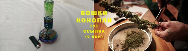 шишки Няндома
