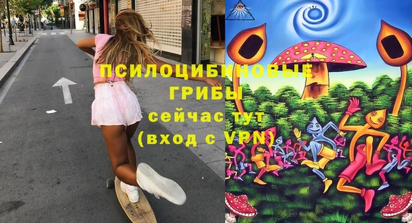 гидропоника Нязепетровск