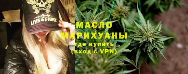 шишки Няндома