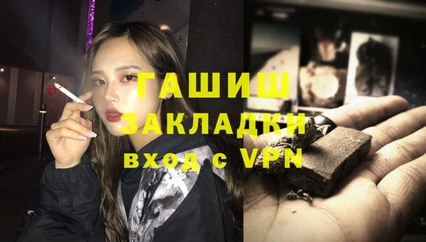 шишки Няндома