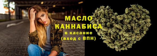 шишки Няндома
