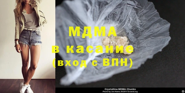 шишки Няндома
