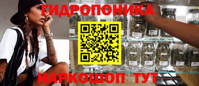 jwh Аргун