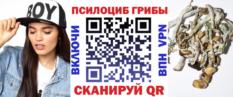 ОМГ ОМГ ONION  Курган  Галлюциногенные грибы Psilocybe 