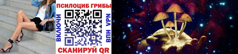 Псилоцибиновые грибы Magic Shrooms Курган