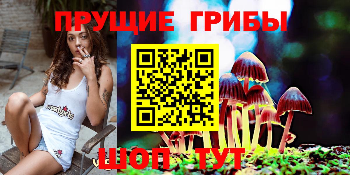 Курган  Псилоцибиновые грибы GOLDEN TEACHER  Вход с VPN  Галлюциногенные грибы Psilocybe 