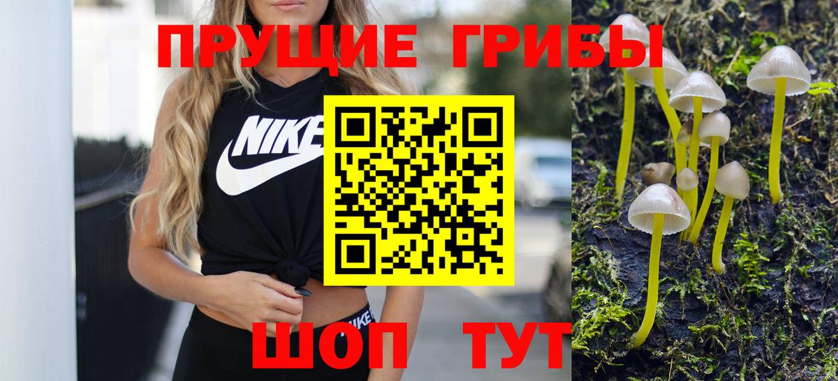 Псилоцибиновые грибы Psilocybe  Курган 