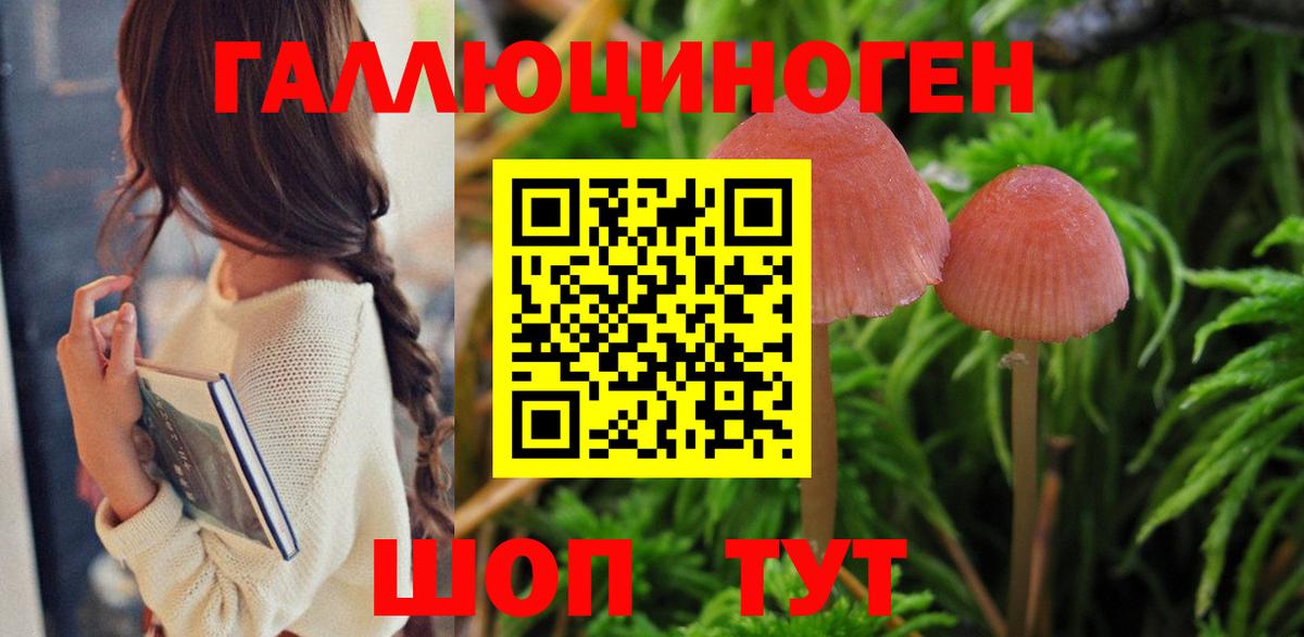 Псилоцибиновые грибы Magic Shrooms Курган