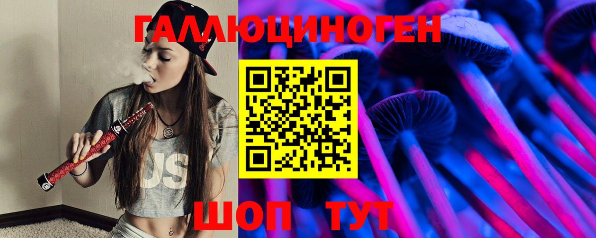 Псилоцибиновые грибы Psilocybine cubensis Курган