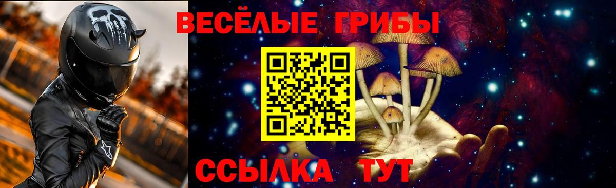 COCAIN Курган