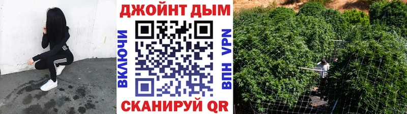 Шишки марихуана план  мега вход  Курган 